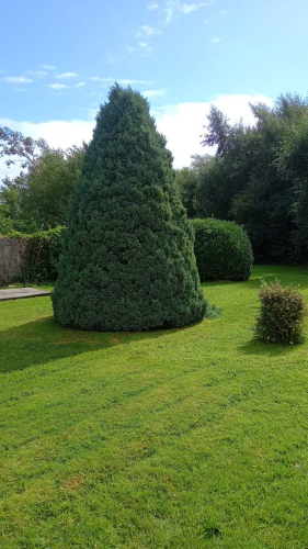 Garden Maintenance 1